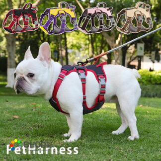 ハーネス 抜けない リード付き 小型犬 中型犬 おしゃれ かわいい 犬 夏 胴輪 大型犬 脱げない 脱げにくい 撥水性 光反射機能 アウトドア 散歩 お出かけ 着 丈夫