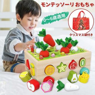 モンテッソーリ おもちゃ 積み木 知育おもちゃ 1歳 2歳 3歳 4歳 クリスマス 贈り物 誕生日 入園 出産祝い ブロックオモチャ 組み立て 早期開発 教具 子 知恵おもちゃ