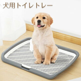 犬 トイレトレー ワイド 小型犬 中型犬 大型犬対応 はみ出し防止 飛び跳ね防止 ステップ 犬用 マーキングポール 大型犬 しつけ