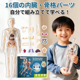 人体 パズル 人体模型おもちゃ 組立式 学習キット 16パーツ, 内臓模型 骨格模型 知育玩具 理科教材 自由研究 子供 プレゼント 小学生 生物 解剖学 手作り模型 6スケール 精密 プラスチッ