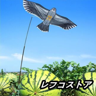 鳥よけ カイト 鷹 軽量丈夫 防鳥具 鳥追い 畑 植物保護 カイト鷹 1.8m凧Tシャツ カットソー 農業用