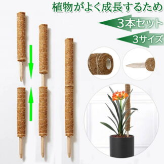 3本セット ココスティック モンステラ 支柱 ココナッツ おしゃれ 園芸支柱 ポトス 植物支柱 ガーデン 蔓 花ささえ 連結 延長 木製 ココナッツ支柱 ガーデニング用支柱 観葉支柱 高さ調整可