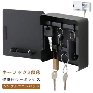 ドア 白 おしゃれ 玄関 壁掛け 収納家具 キーケース キーボックス 印鑑 扉付き キーホルダー インテリア 黒 雑貨 キーフック 北欧 両面テープ 2段 密閉収納 玄関キー 鍵入れ