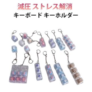 キーボード 遊べるキーホルダー キーホルダー 大人 5個セット 青軸 ストレスを軽減する フィジェットトイ 子供 キープラー 中高生 指のおもちゃ 手遊び キースイッチ コンパクト 軽量