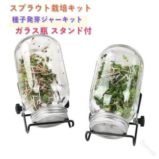 スプラウト栽培キット 種子発芽ジャーキット 種子発芽成長セット メイソンジャー ガラス瓶 スタンド付き 保存瓶 キッチン 収納 整理 フィルター蓋 種子 ブロッコリースプラ ステンレス