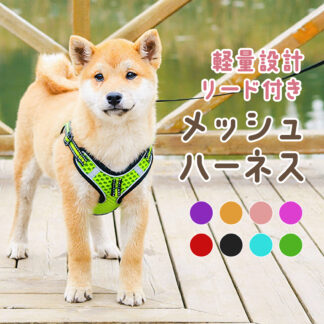 犬 ハーネス リード 抜けない 脱げない クッション 簡単装着 小型犬 中型犬 大型犬 胴輪 蒸れない 涼しい 安全 頑丈 おしゃれ かわいい | N QUARTET 散歩