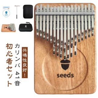 ケース 41音 親指ピアノ 初心者セット 楽器 教本 入門書 チューニング済み 指サック サムピアノ おしゃれ チューナー 初心者 子供 楽譜