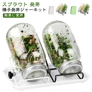 種子発芽ジャーキット 種子発芽成長キットセット 2個 スプラウト 容器 発芽ガラス トレイ スタンド付き メイソン ジャー スプラウト成長キット ブロッコリー ブロッコリースプラウト 種子 大型広口
