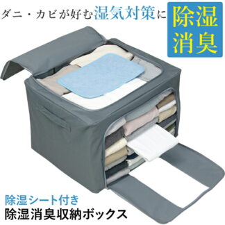 衣装ケース 除湿消臭収納ボックス アルファックス 衣類 収納ケース 収納ボックス 押入れ収納 衣替え 衣類収納ケース 布 中身が見える 収納 ファスナー 押入れ 整 折りたたみ