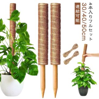 ココスティック 10点セット 延長 ココナッツ ガーデン ポトス 植物支柱 支柱 モンステラ モンステラ支柱 ガーデニング用 花ささえ 園芸支柱 蔓 植物 ココナッツ支柱 支え 連結