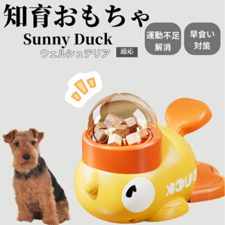 知育給餌器 犬猫用 おもちゃ IQ訓練 ペット知育 お留守番対策 自分で遊べる餌やり玩具 給餌器 洗える設計 時間潰し フードトイ ペット用エサ入れ ウェルシュテリア犬 ウェルシュ 脳トレおもちゃ