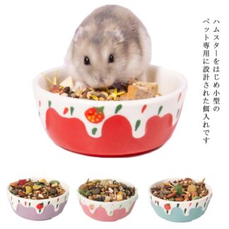 ハムスター 餌入れ えさ入れ フードボウル 陶器 えさいれ えさ皿 エサ 器 ハムスター用 ハリネズミ 食器 夏対策 小動物 可愛い おもしろ プレゼント かわいい シンプル お手入れ ギフト