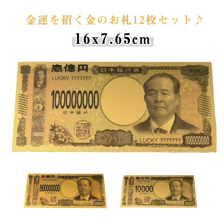 12枚セット 新紙幣 一万円札 お金 1億円 8億円 壱萬円 壱億円 お札 プレゼント ゴールド 黄金 GOLD 開運 金運 ダミー 風水 願掛け グッズ 景品 祈願 神社祈願