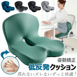 蒸れないズレないずっと快適 椅子 クッション 腰痛対策 姿勢矯正 骨盤矯正 チェアクッション 低反発クッション 骨盤サポートチェア ランバーサポート 背もたれ 腰 尻 一体型 坐骨 ヘルニア カ