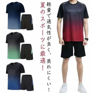 ランニングウェア メンズ レディース 上下セット 夏 半袖Tシャツ ハーフパンツ 2点セット スポーツウェア 半袖 tシャツ 短パン トレーニングウェア カジュアル 薄手 無地 通気性 軽量