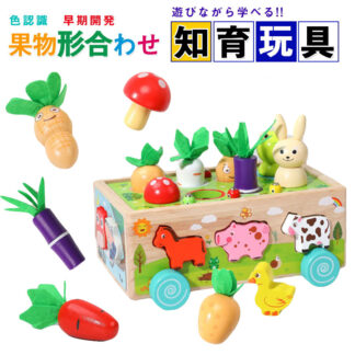 モンテッソーリ おもちゃ 知育おもちゃ 木製 パズル モンテッソーリ教具 木のおもちゃ 積み木 型はめ 形認識 色認識 果物 動物 はめこみ 指先訓練 脳トレ 子ども誕生日おプレゼント女の子