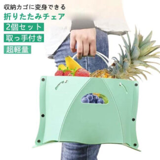 2点セット イス ミニ椅子 携帯椅子 折りたたみチェア 携帯用椅子 折り畳みチェア 耐荷重100kg 超軽量 持ち運び 取っ手付き アウトドアチェア スリム コンパクトイス いす 省スペース 持