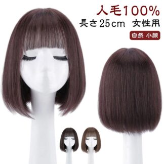 人毛100% 長さ25cm ウィッグ かつら 自然 フルウィッグ 医療用ウィッグ 女性用 薄毛 脱毛症 茶髪 黒髪 セミロングウィッグ 普段使い