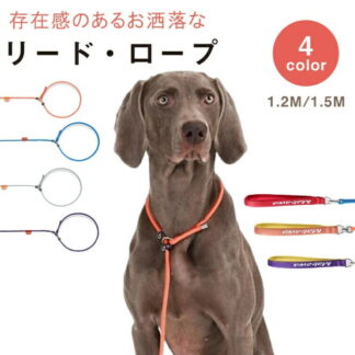 犬リード 首輪一体型頑丈 小型犬中型犬大型犬アウトドアトレーニング ペットグッズ 犬用品しつけおしゃれロープ 訓練用スリップリードペット