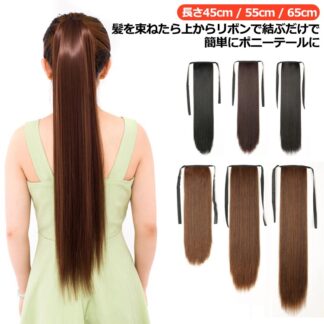ウィッグ ポニーテール ロング ストレート 自然 ポイントウィッグ エクステ ぽにーてーる つけ毛 部分ウィッグ 女性用 付け毛 ヘアアレンジ 長45c かつら