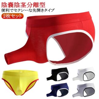 分離型パンツ ブリーフ 陰嚢陰茎分離型 貫通 分離 男性下着 ぞうさん 通気性 穴あき ゾウさんパンツ メンズ下着 竿付 竿付き 竿出し 前開き 竿玉 2枚セット 快適 薄手 セクシー 速乾