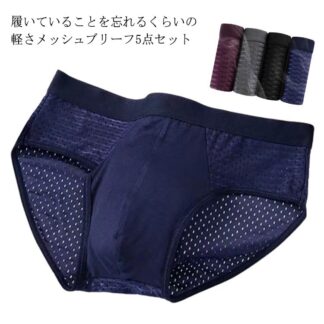 ブリーフ メンズ ショーツ 薄手 パンツ インナー 下着 男性 ブリーフパンツ メンズ下着 アンダーウェア メッシュ 無地 通気性 紳士 5枚入り セミ 蒸れない