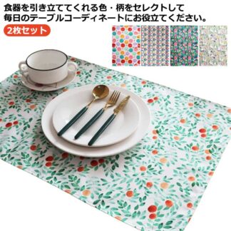 ランチョンマット 40 60cm ランチョンマット給食 40×60 おしゃれ 2枚セット プレイスマット ランチマット マット 食卓 布 北欧 綿 コットン お祝い スクエア 四角 洗える