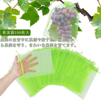 害虫予防 掛け袋 害虫対策 果実 びわ 保護袋 果樹袋 傷予防 鳥よけネット 防虫ネット 巾着袋 フルーツ袋 果物袋 メッシュ 通気性 果実袋 保護ネット りんご ぶどう なし 10 もも