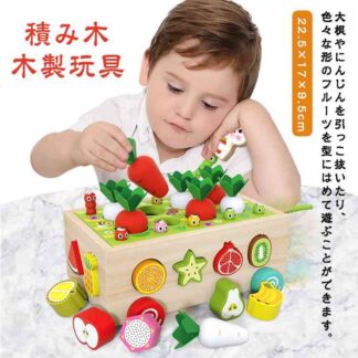 3歳 子供おもちゃ 4歳 組み立て 積み木 木製玩具 贈り物 木製 入園 2歳 出産祝い 1歳 教具 早期開発 ブロックオモチャ 子ども 知恵おもちゃ
