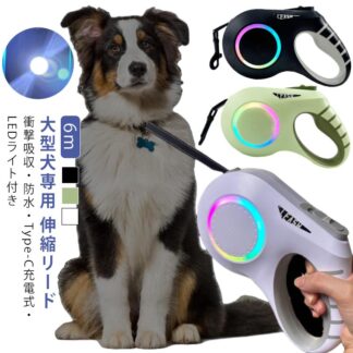ライト付き 6m 雰囲気ライト 小型犬 リード 充電式 タッチパネル USB 伸縮リード LED 伸縮 光る 犬用 中型犬 犬 ドッグリード 充電 ワンタッチ 反射材入り 大容量電池 長